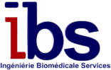cropped logo ibs.png